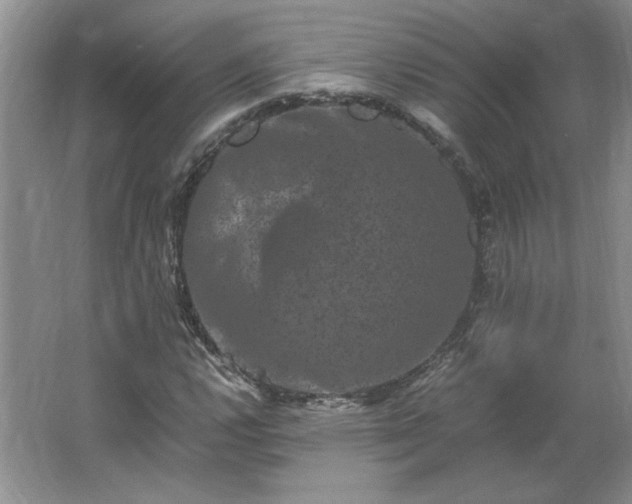 X0000062631112200512281548