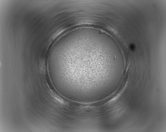 X0000062631113200512281548