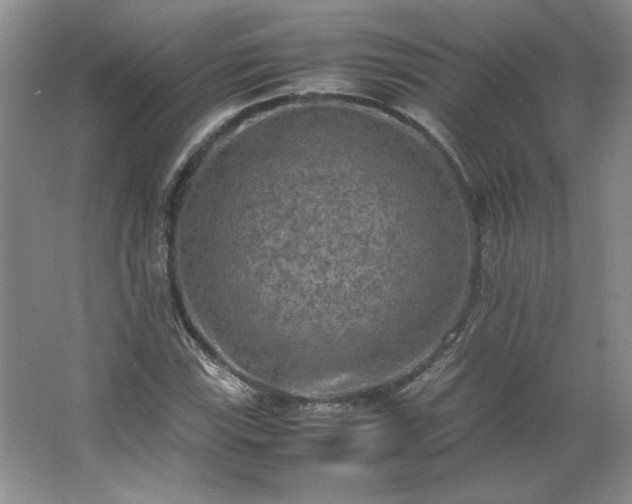 X0000062631115200512281548