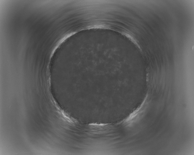 X0000062631117200512281548