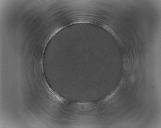 X0000062631121200512281548