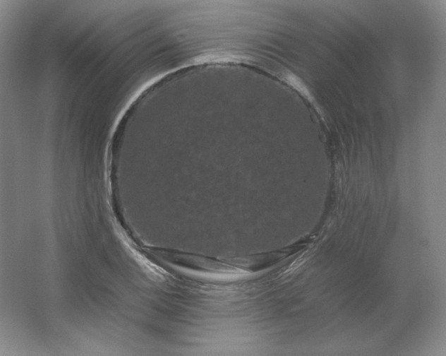 X0000062631124200512281548