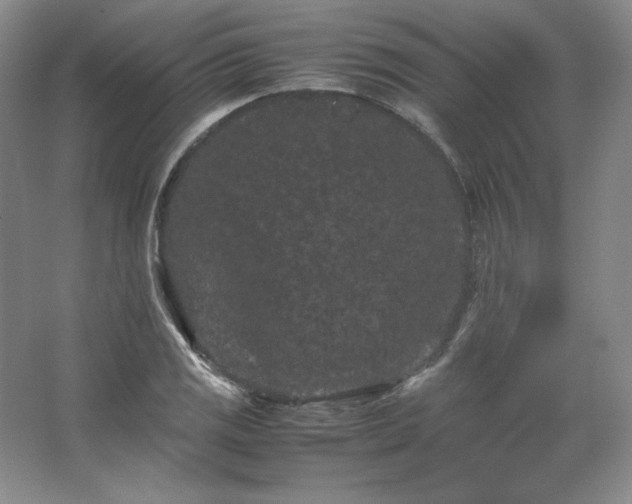 X0000062631125200512281548