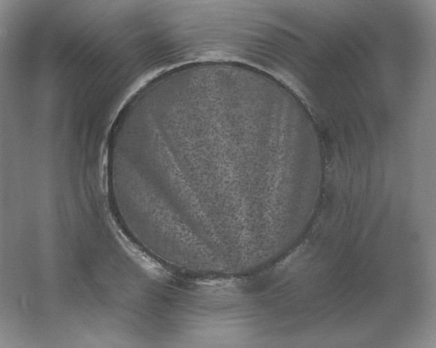 X0000062631126200512281548