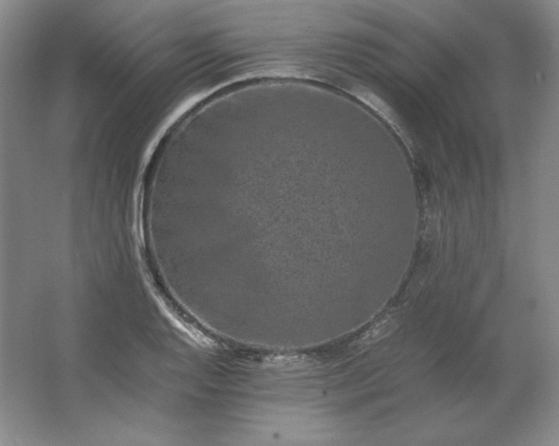 X0000062631128200512281548