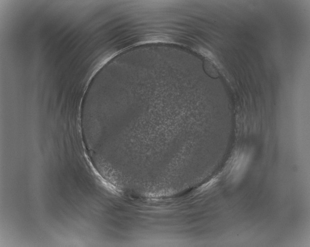 X0000062631129200512281548