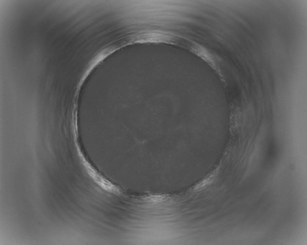 X0000062631130200512281548