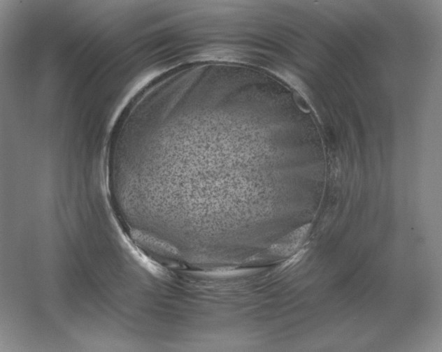 X0000062631131200512281548