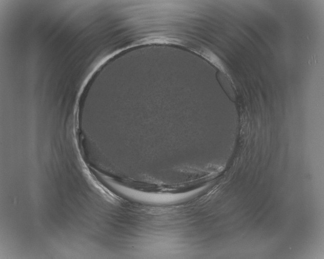 X0000062631132200512281548