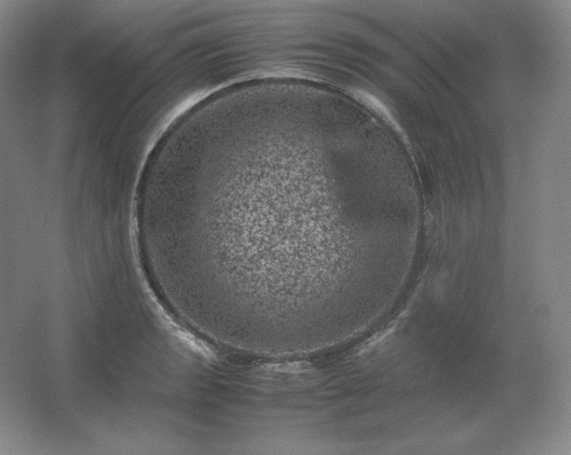 X0000062631133200512281548