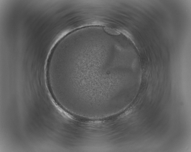 X0000062631135200512281548