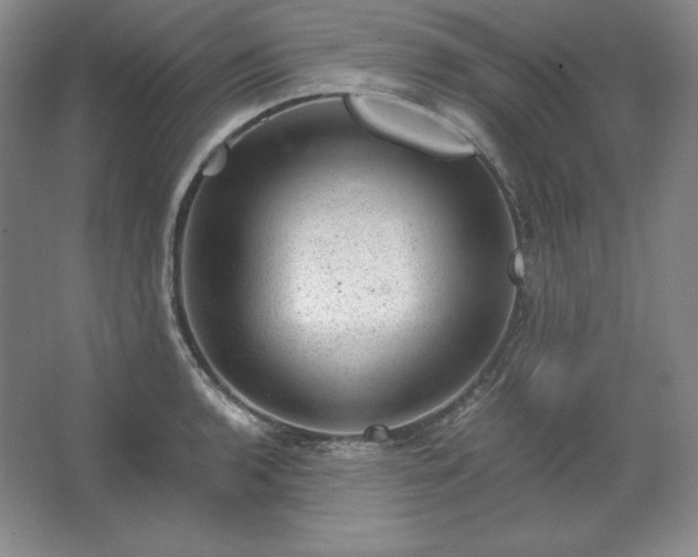 X0000062631136200512281548