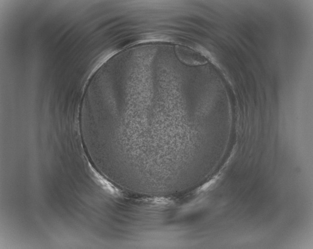 X0000062631137200512281548