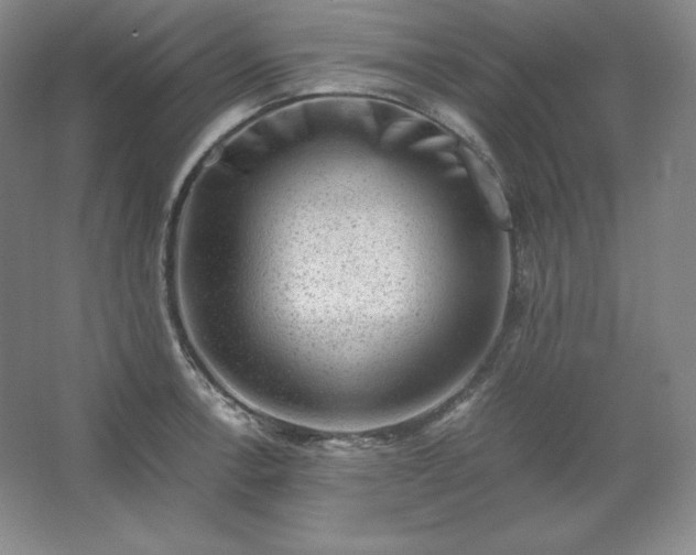 X0000062631138200512281548