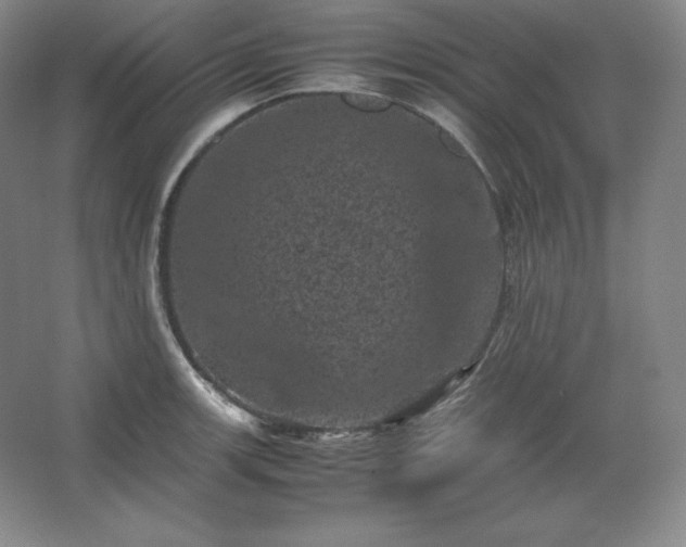 X0000062631139200512281548