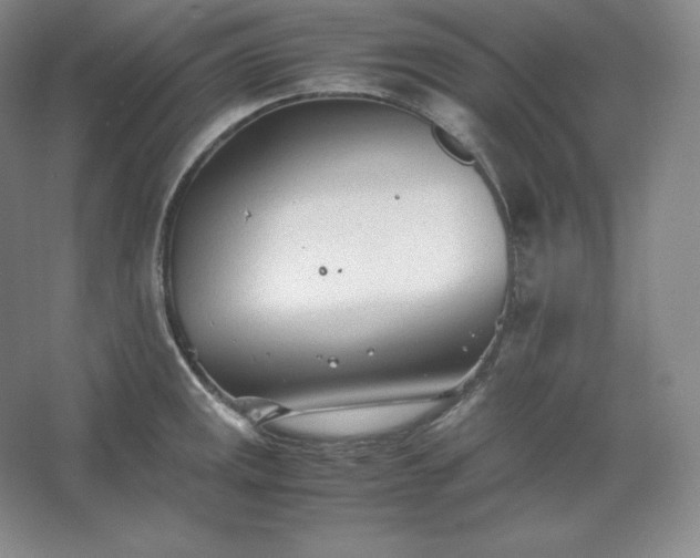 X0000062631141200512281548