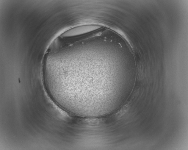 X0000062631142200512281548