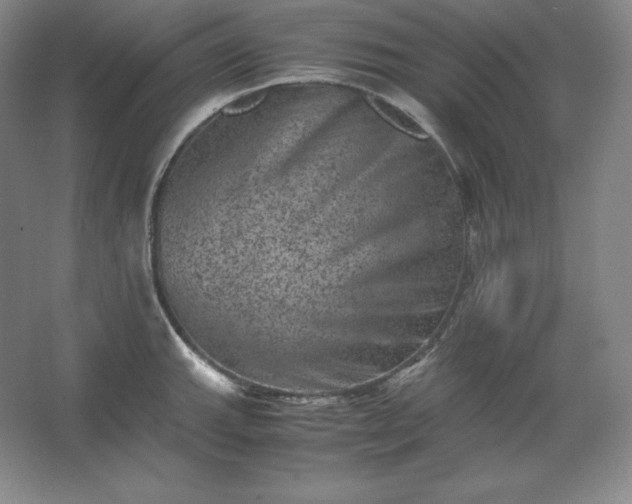 X0000062631143200512281548