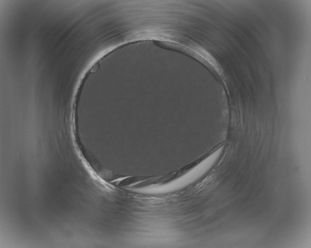 X0000062631144200512281548