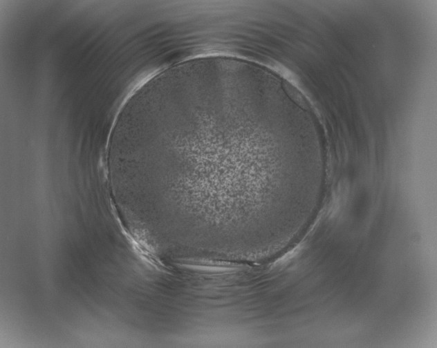 X0000062631145200512281549