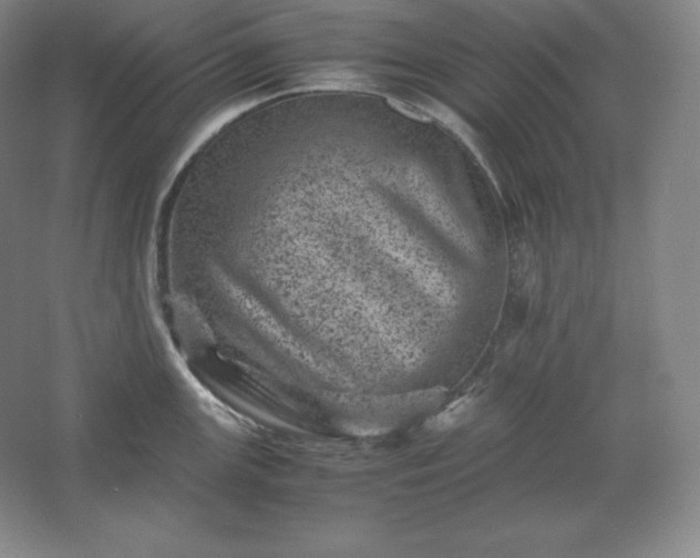 X0000062631147200512281549