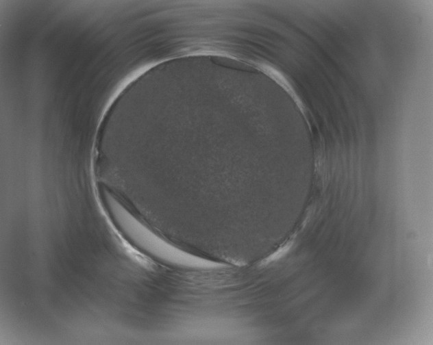 X0000062631149200512281549