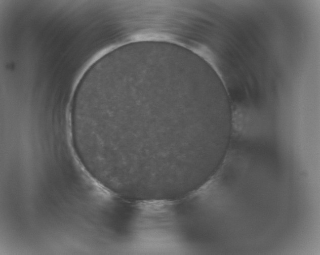 X0000062631150200512281549