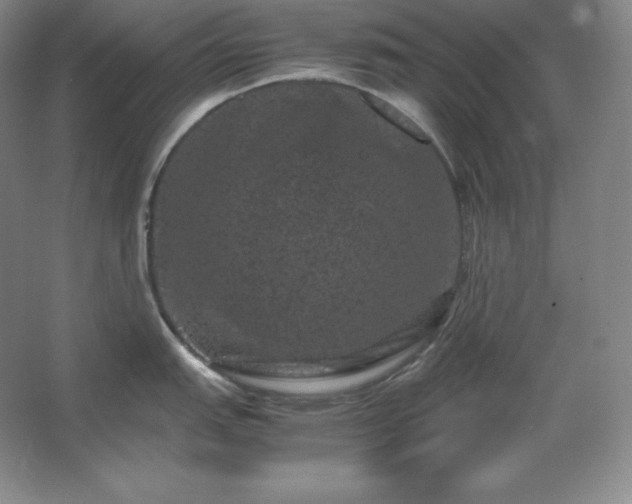 X0000062631151200512281549