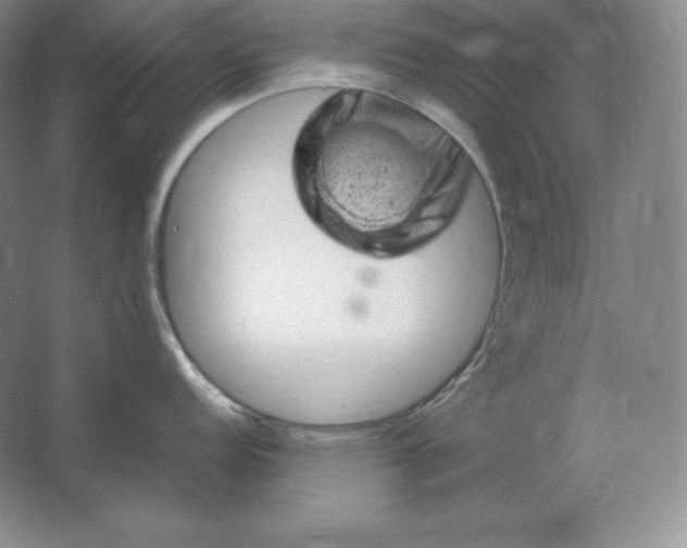 X0000062631152200512281549