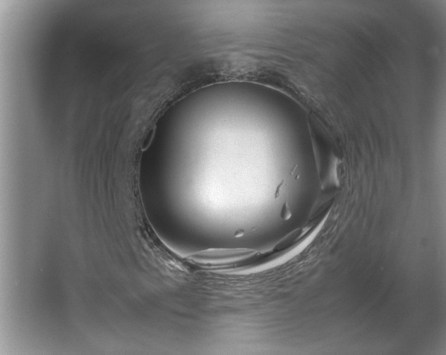 X0000062631153200512281548