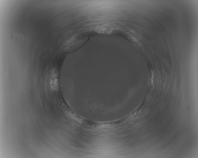 X0000062631154200512281548