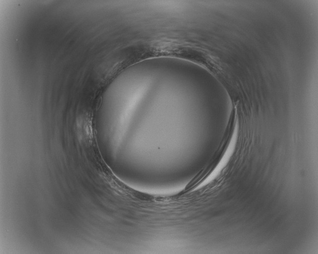 X0000062631155200512281548