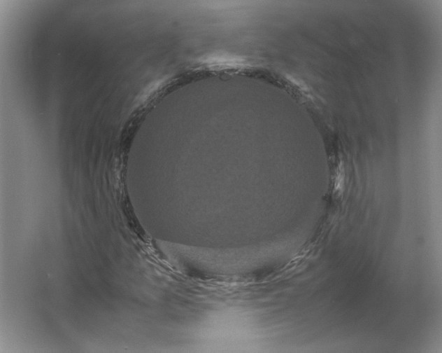 X0000062631157200512281548