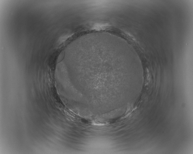 X0000062631158200512281548