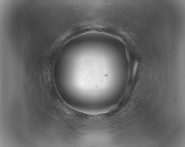 X0000062631159200512281548