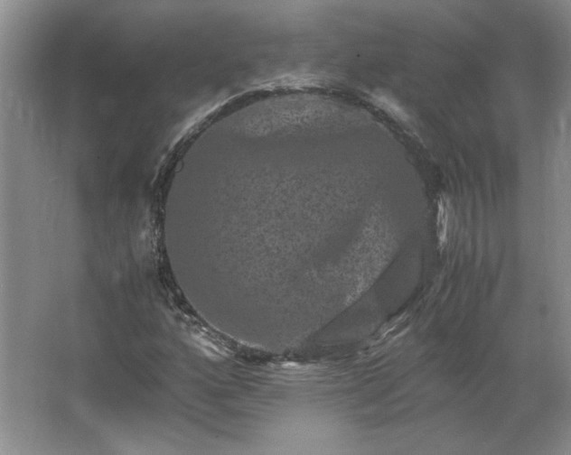 X0000062631160200512281548