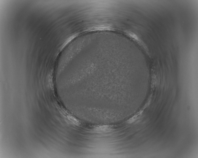 X0000062631162200512281548