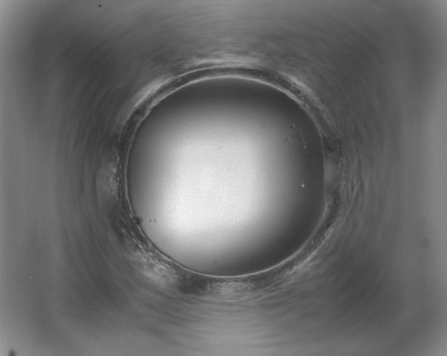 X0000062631163200512281548