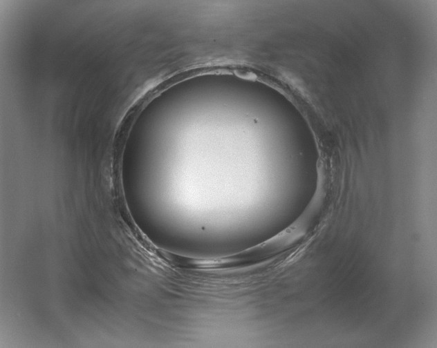 X0000062631165200512281548