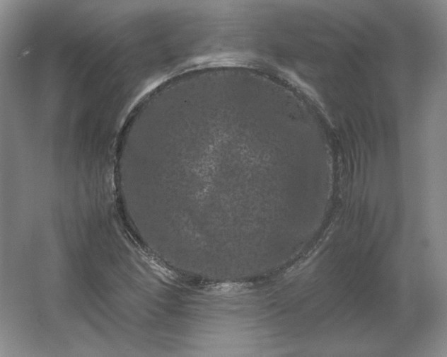 X0000062631166200512281548