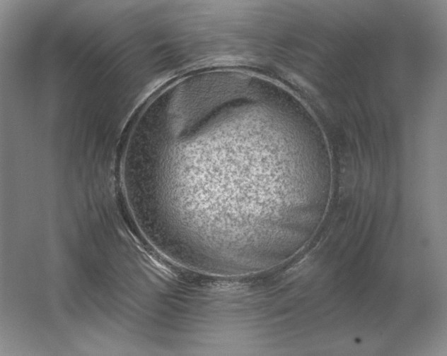 X0000062631170200512281548