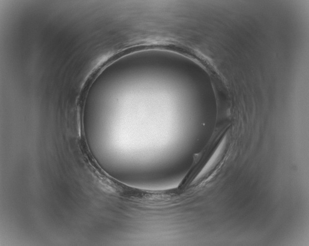 X0000062631171200512281548