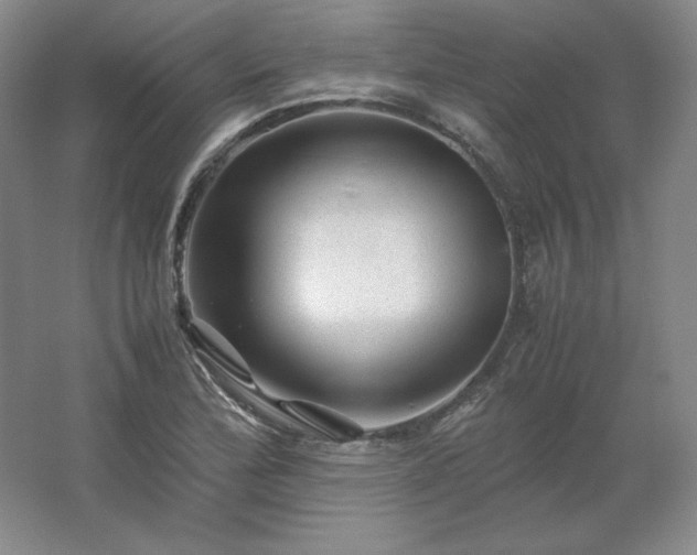 X0000062631172200512281547