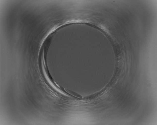 X0000062631173200512281547