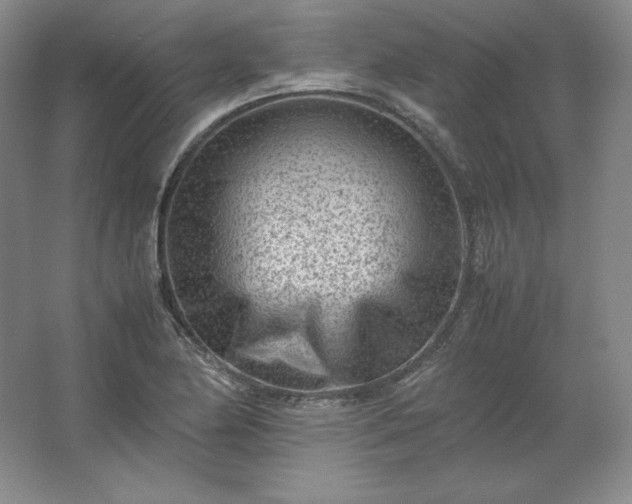 X0000062631174200512281547