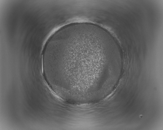 X0000062631175200512281547