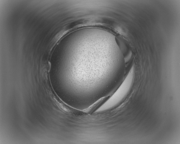 X0000062631177200512281547