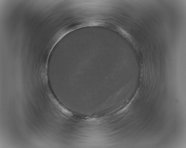 X0000062631178200512281547