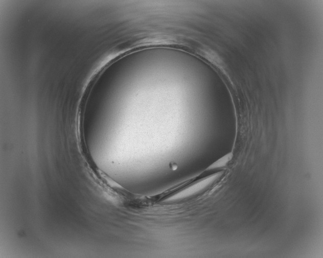 X0000062631179200512281547