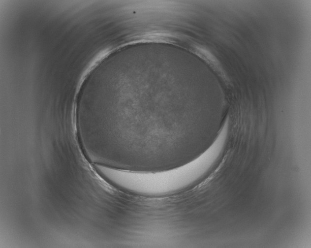 X0000062631180200512281547